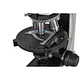 Trinocular Research Polarizing Microscope